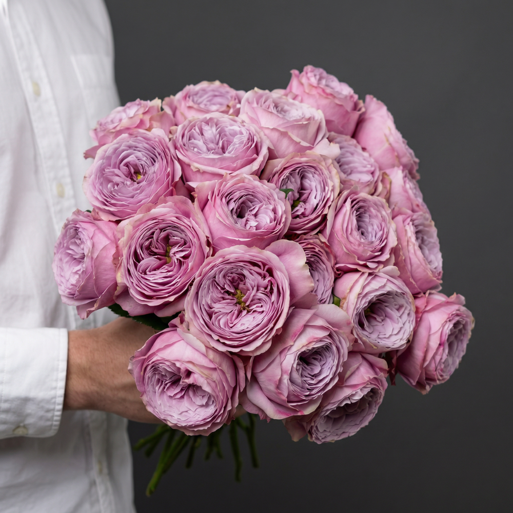 Buy the most beautiful vintage peony from Rosaholics