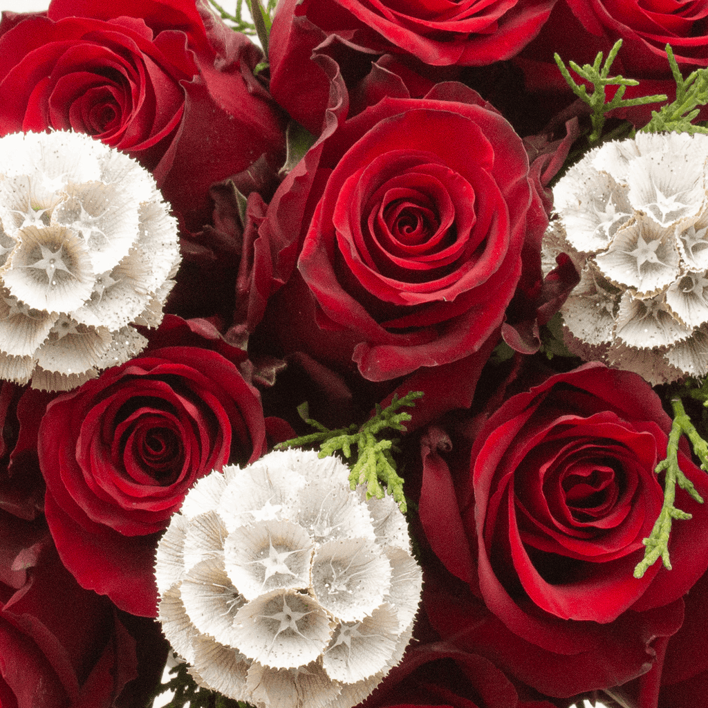 Close-up of Romantic Star Bouquet: Red Roses and White Flowers
