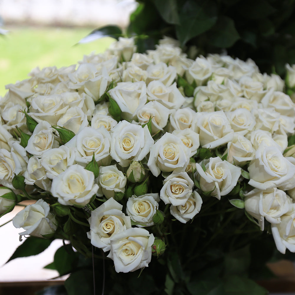 Red and White Rose Bouquet with baby breath flowers symbolizing love and  passion bouquet is wrapped in delicate white paper and rests on a rustic  wooden background closeup top view 54572546 Stock, image size:1000x1000