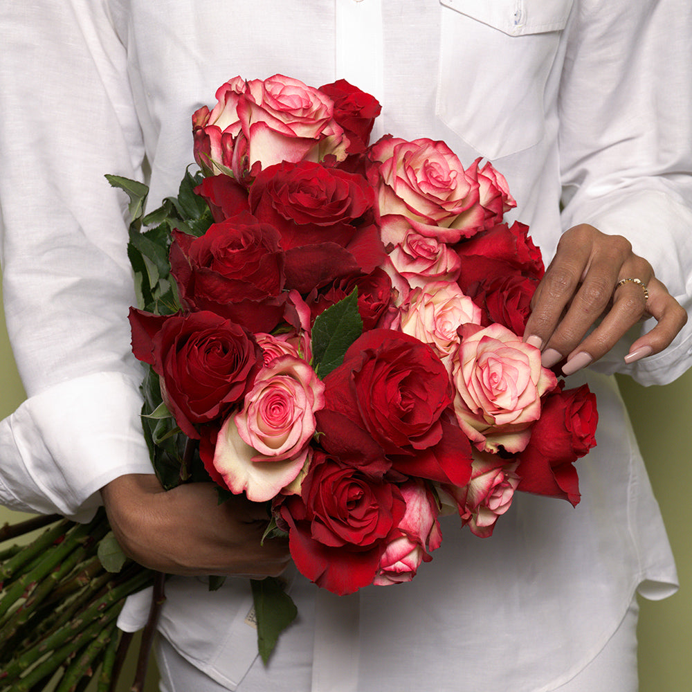 LONG ROSES
