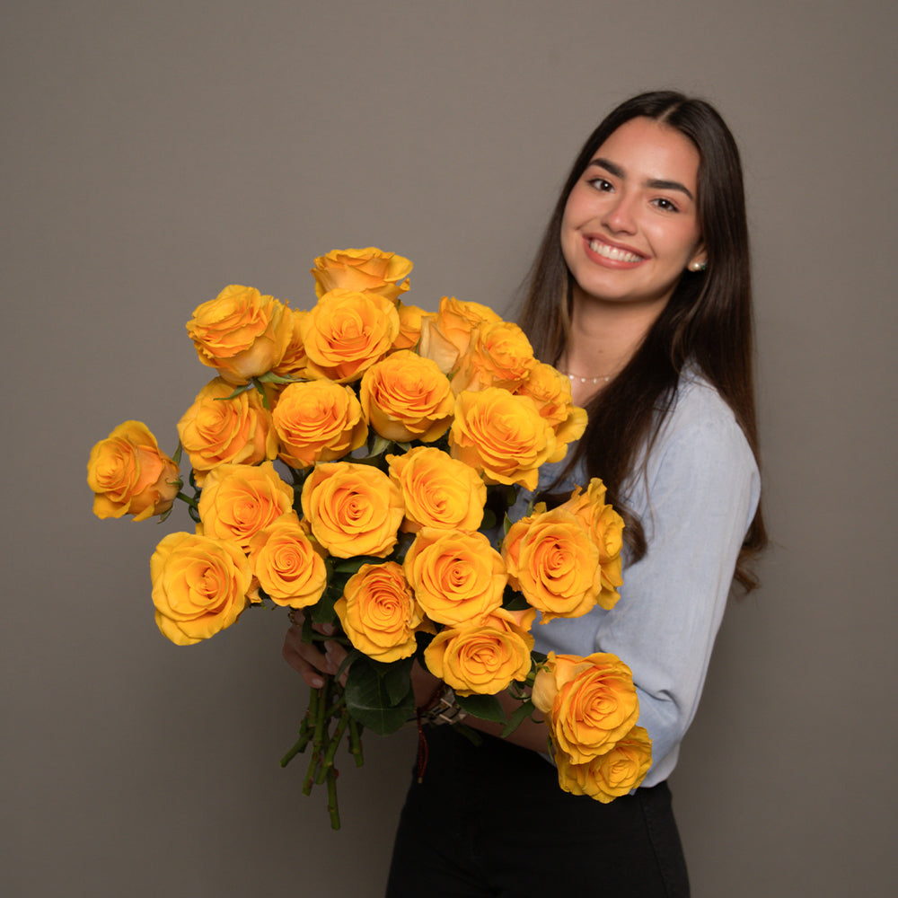 Year-Round Rose Garden: Expert Growing Guide – Rosaholics