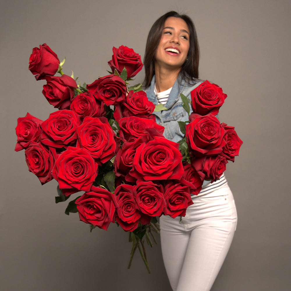 How to Give A Single Rose: Rules Of Presenting – Rosaholics