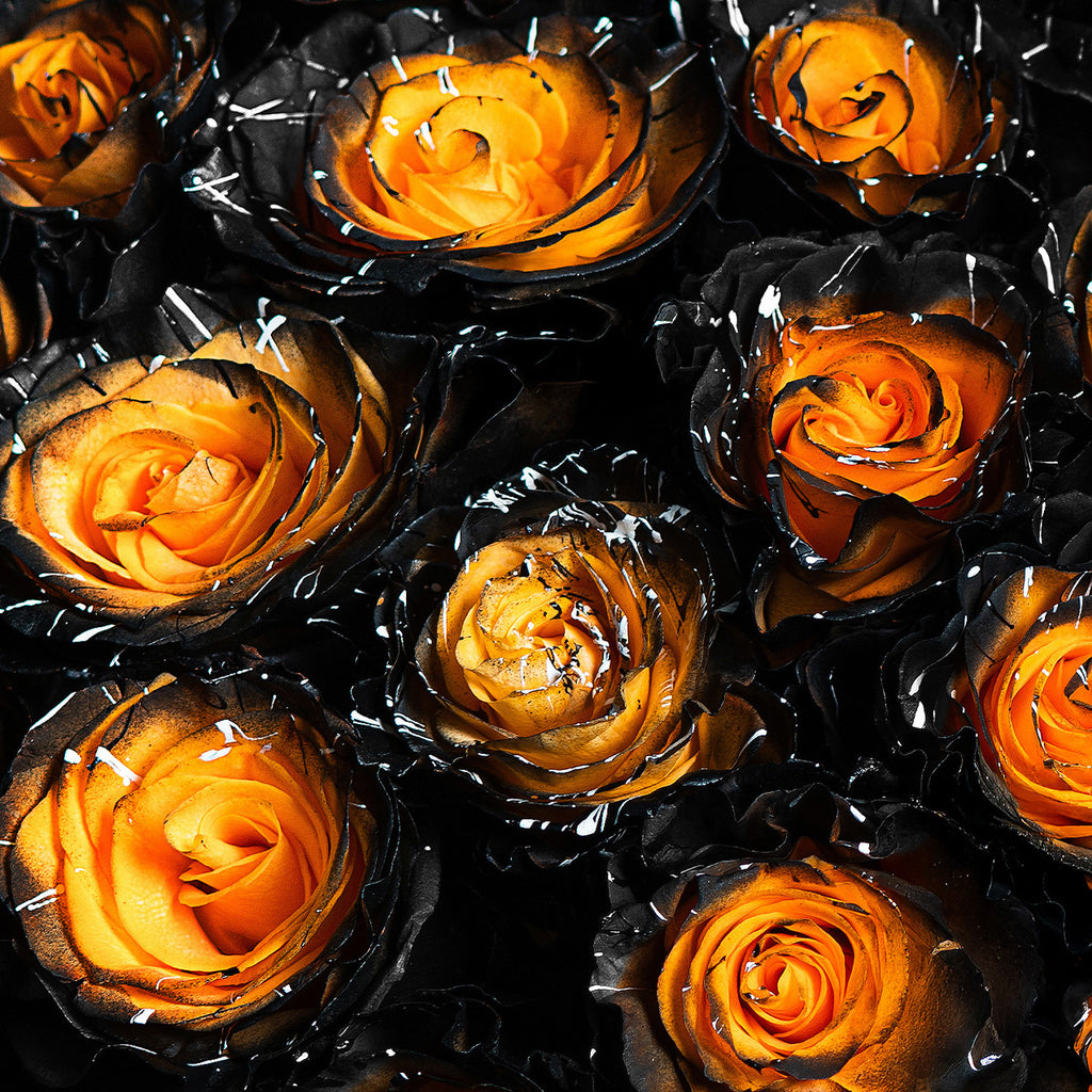 Haunted Royale Roses – Halloween Bouquet Delivery – Rosaholics
