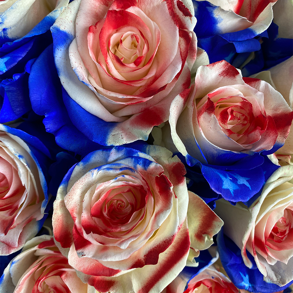 Close-up of America Rose Bouquet by Rosaholics