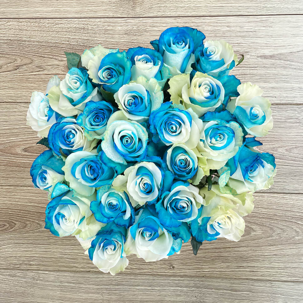blue green roses