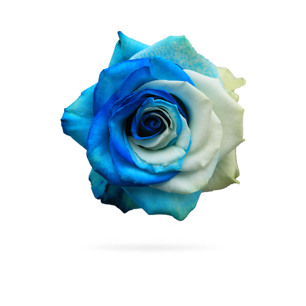 Azure Roses Bouquet