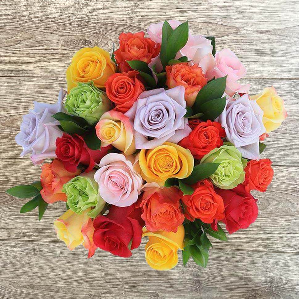 Unveiling The Elegance of Roses Anatomy – Rosaholics