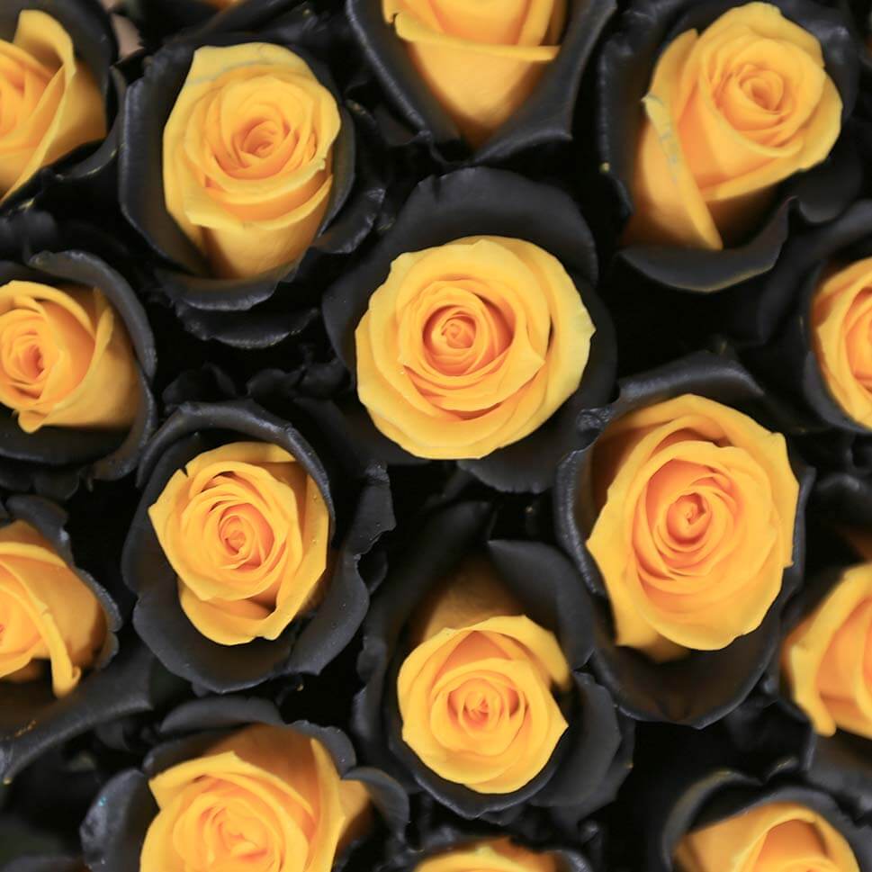 Close-up of Bee Rose Bouquet by Rosaholics