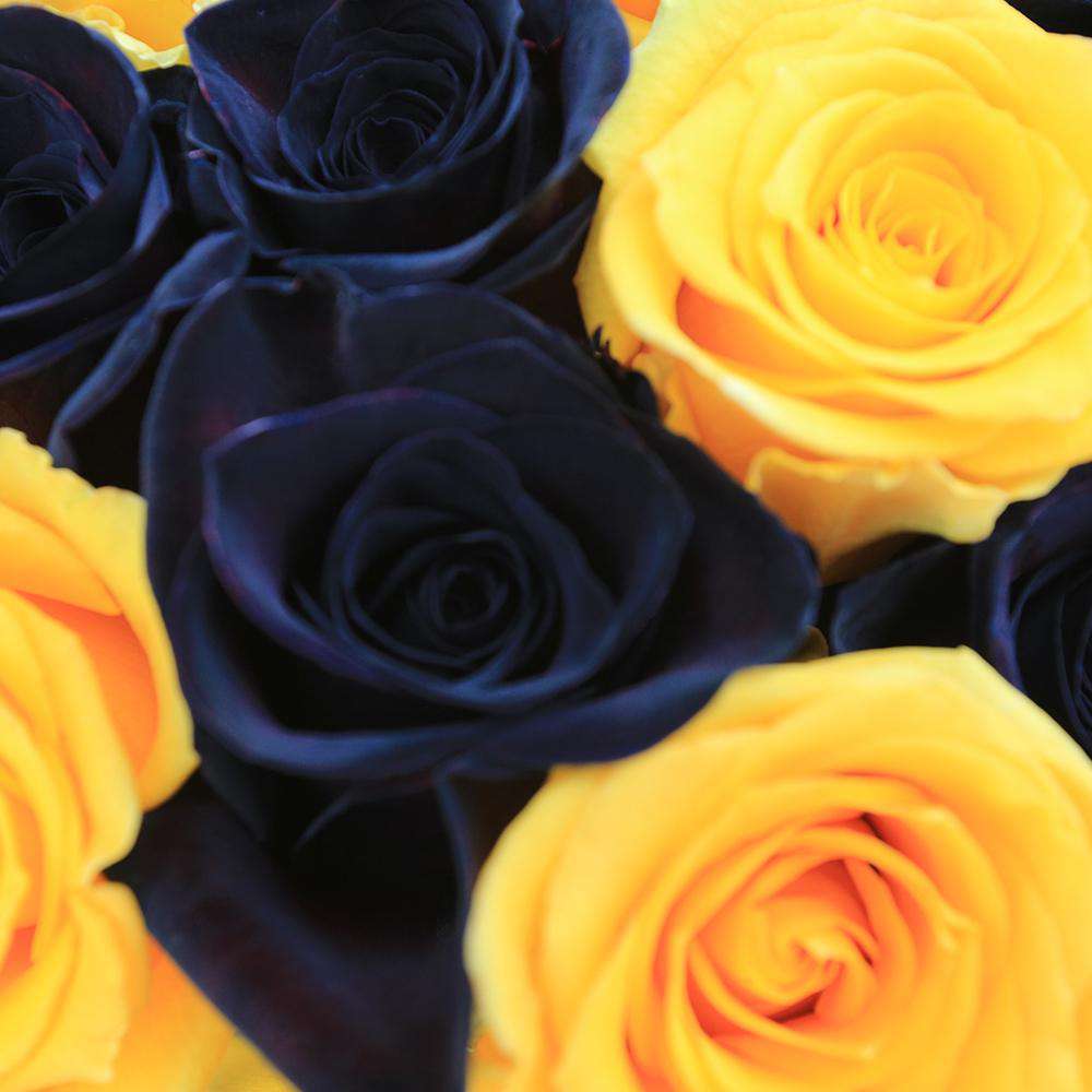 Black Sun (exclusive) Rose Bouquet 3 - Rosaholics