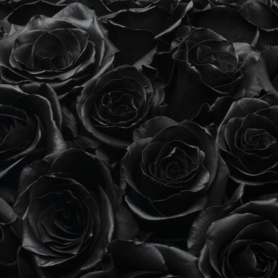 Close-up of Black Mamba Roses Bouquet 