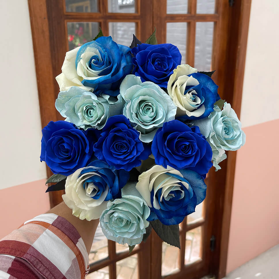 Blue Bay Rose Bouquet in a hand