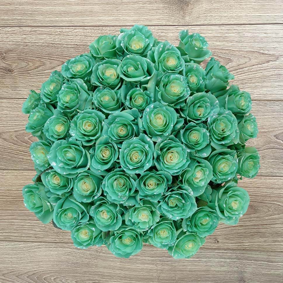 Green Packaged Roses Green Rose Bouquets | Green Roses Delivery – Rosaholics