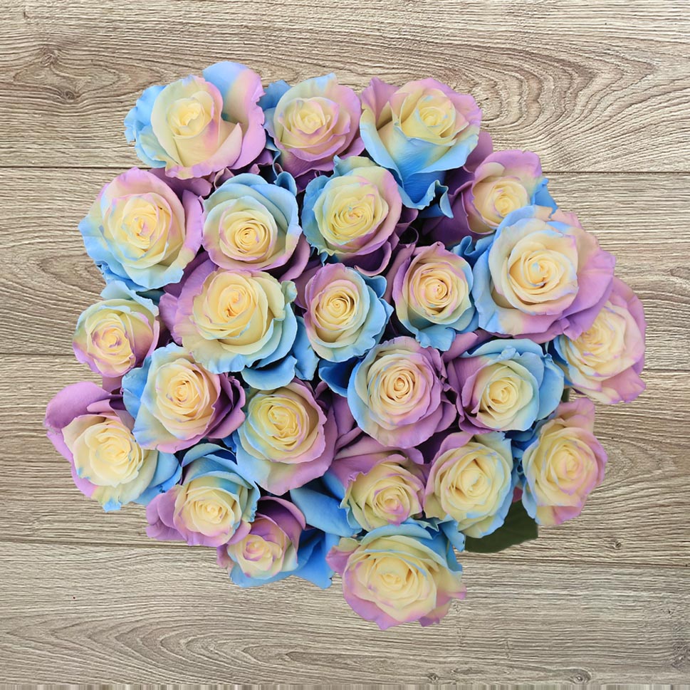 Colored Roses: Creamy White, Purple, Blue – Cotton Cloud Bouquet by Rosaholics