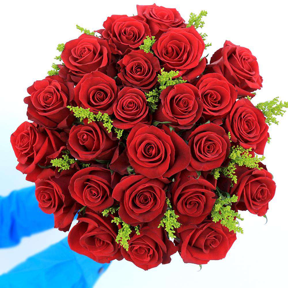 Lover Rose Bouquet Gift - Rosaholics