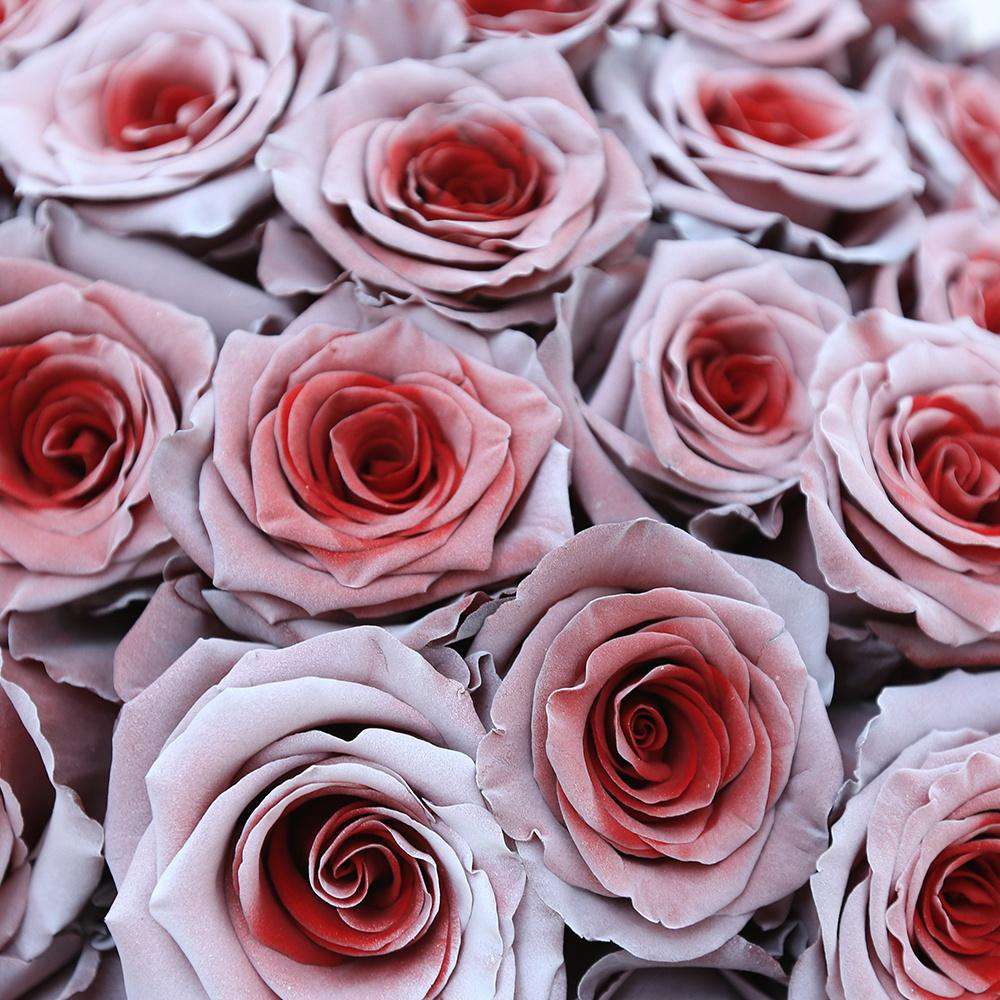 Cupid Rose Bouquet - Rosaholics