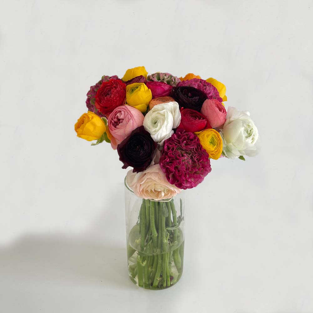 Campanita - Ranunculus Flower Bouquet in a vase