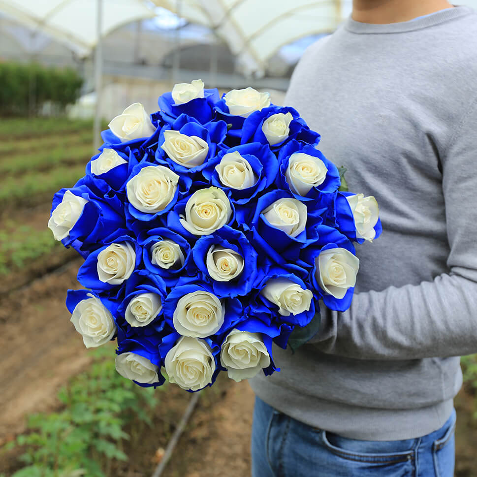 A man is holding a bouquet of blue and white roses