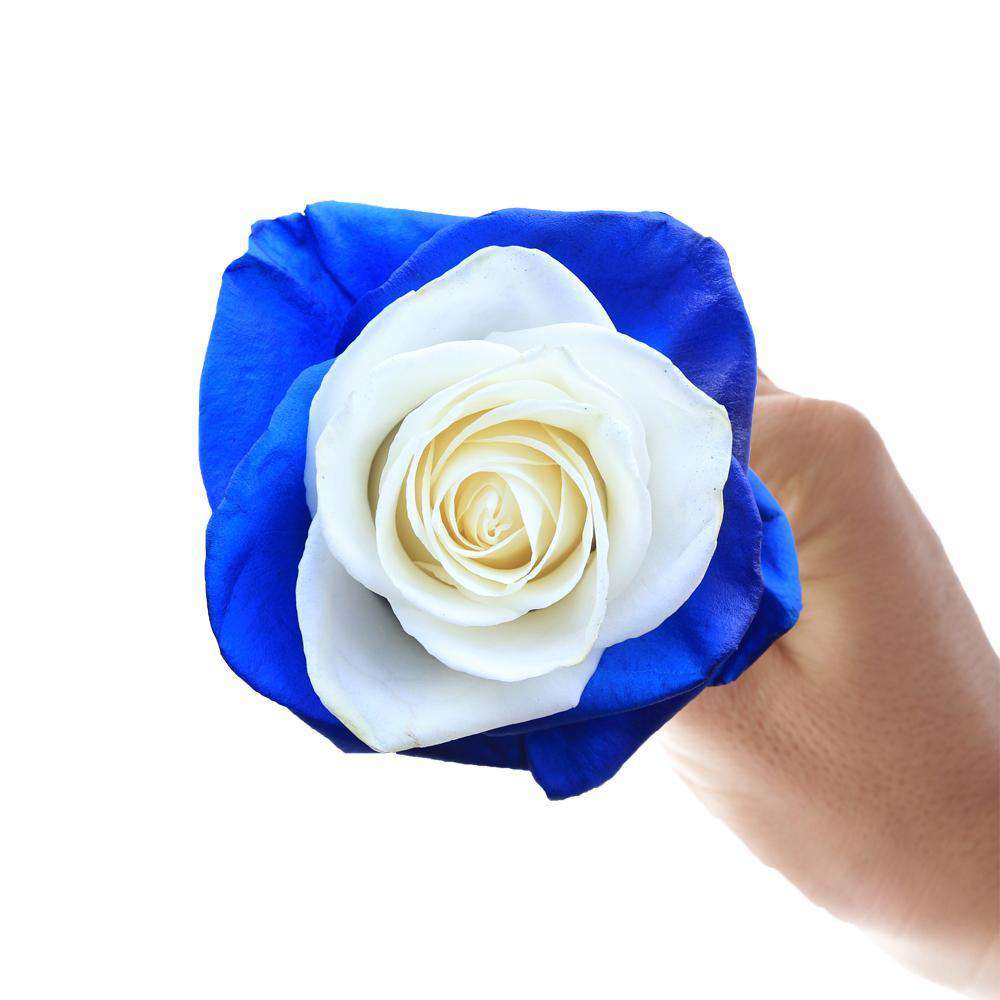 Chelsea Bouquet | Blue & White Roses Delivery | Rosaholics