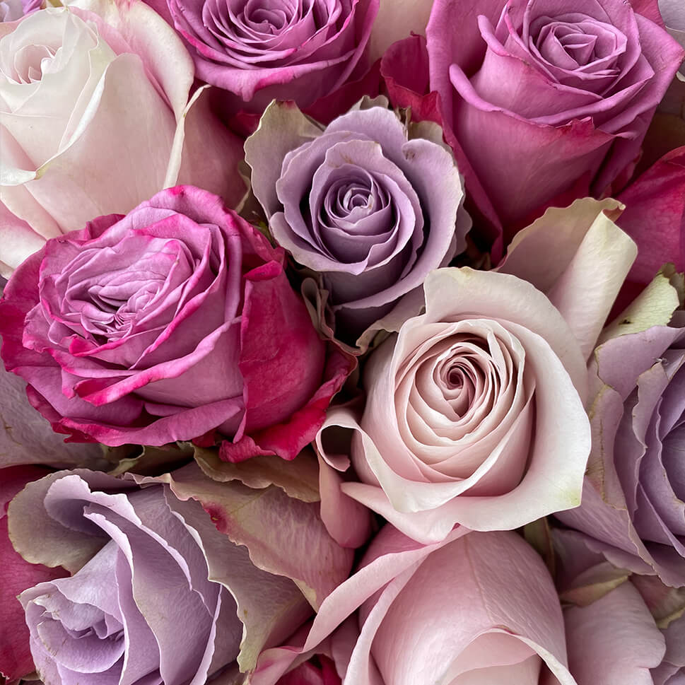 Close-up of Cheshyre Pink Rose Bouquet