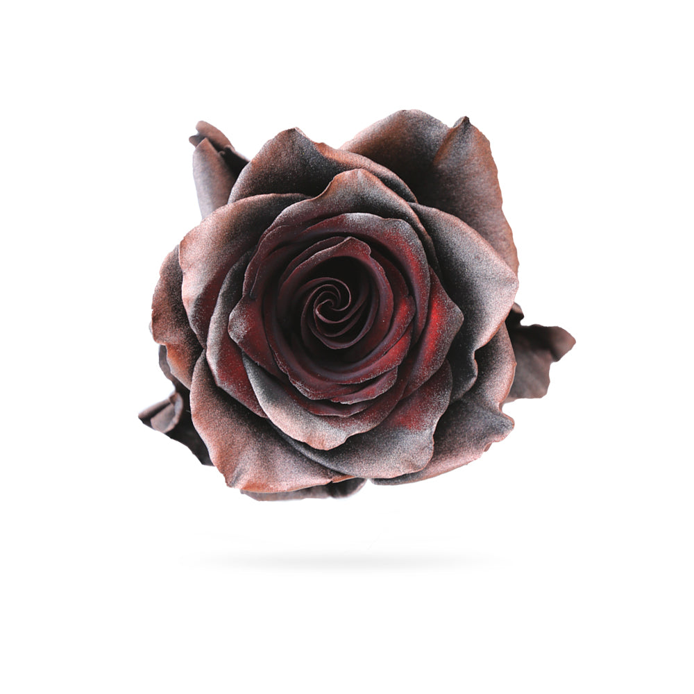 red rose adorned with exquisite silver shimmer