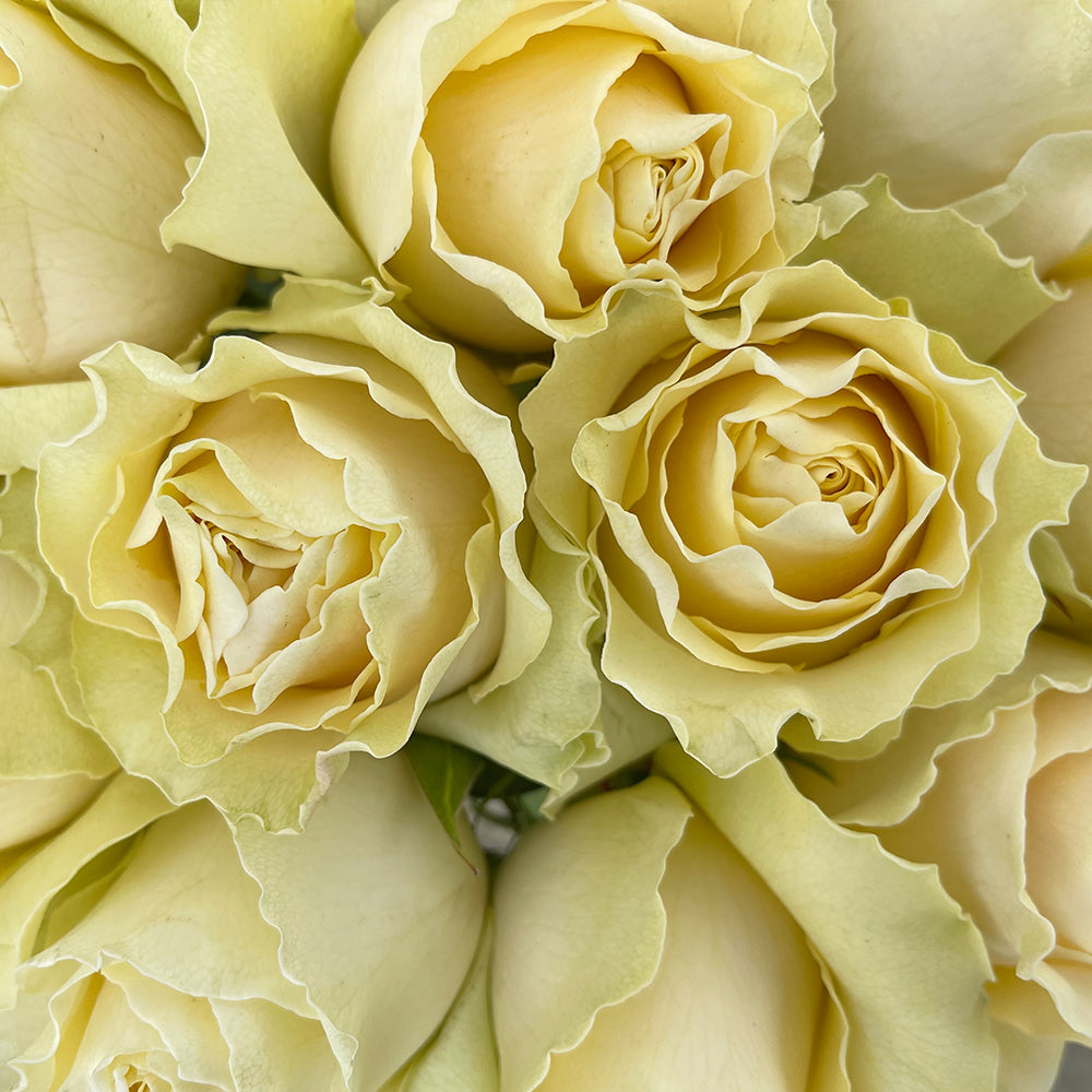 Close-up of Sunshine Garden Rose Bouquet by Rosaholics
