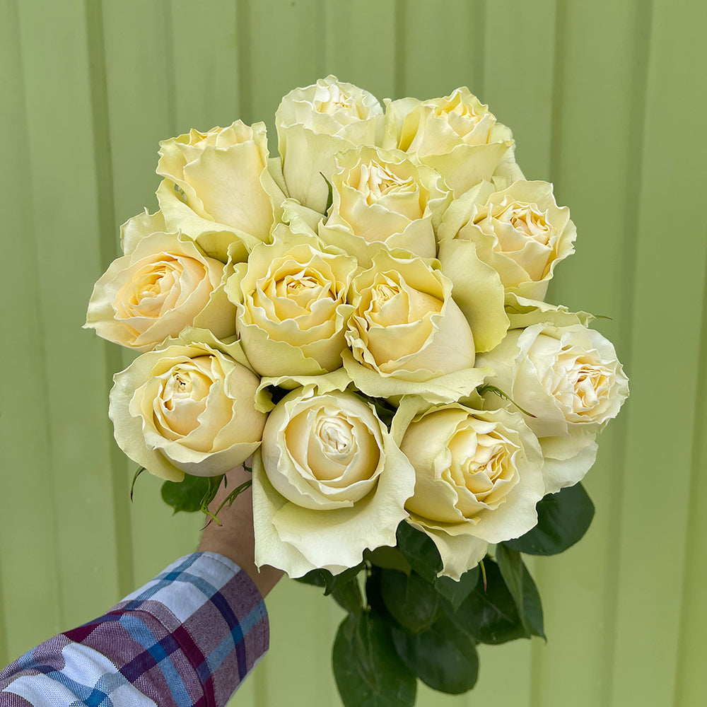 Yellow Roses - Sunshine Garden Rose Bouquet in a hand