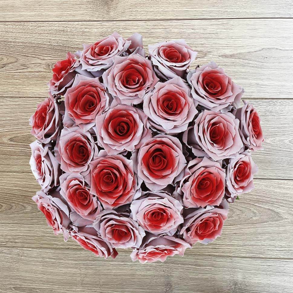 Two-Tone Red Roses | Cupid Rose Bouquet | Rosaholics