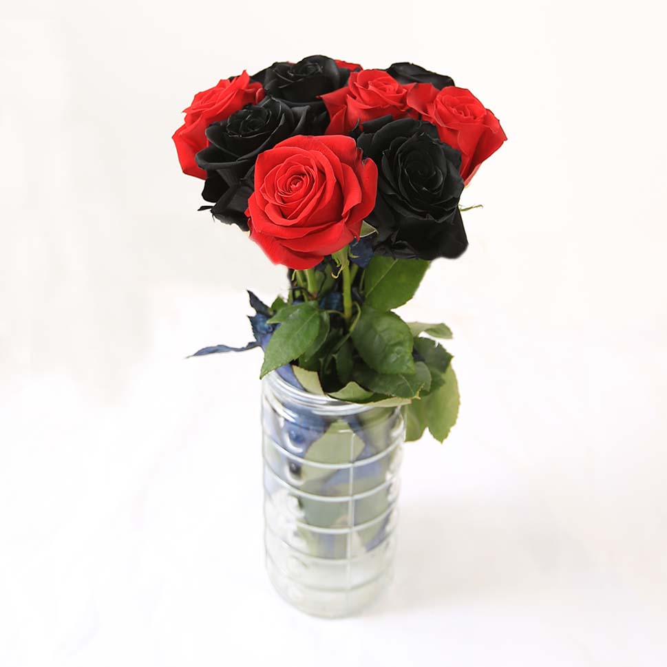 My work, deep red roses, and feathers in a black vase trimmed with