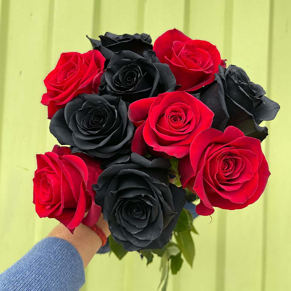 black and red roses "Deep Love" in hand
