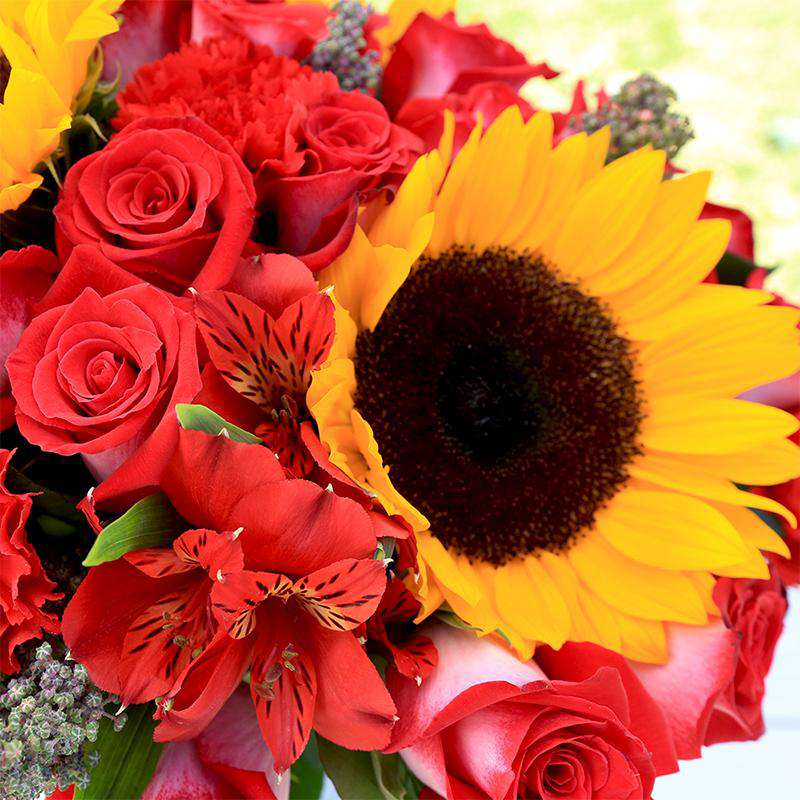 Order Red Roses Delight online  free delivery in 3 hours - Flowera