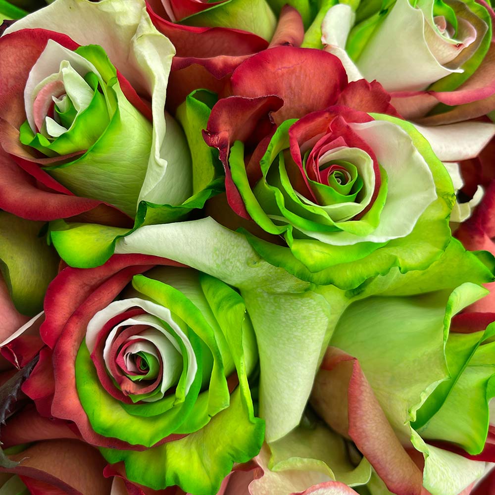 Eve Bouquet Green and Red Roses Rosaholics
