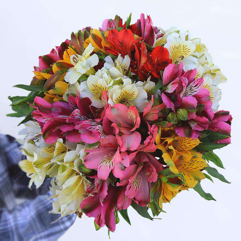 Fiesta Flower Bouquet Delivery - Rosaholics