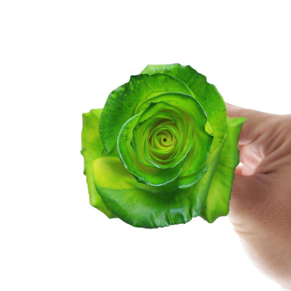 Grinch Rose Bouquet - Rosaholics