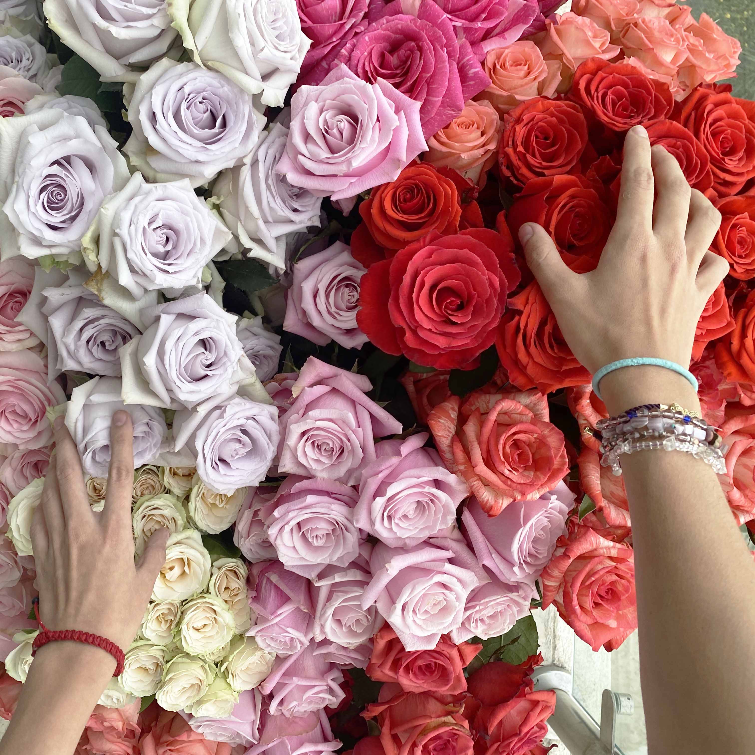 Create Your Own Bouquet  Rose Bouquet Delivery – Rosaholics