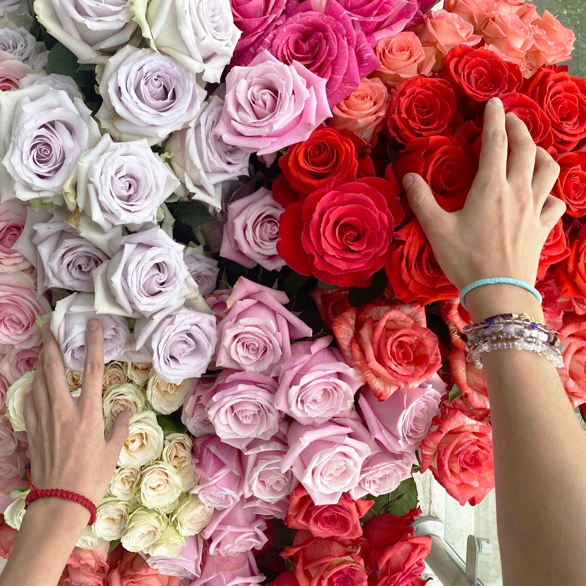 Shop Fresh Black Flowers Online with Rosaholics – Tagged 