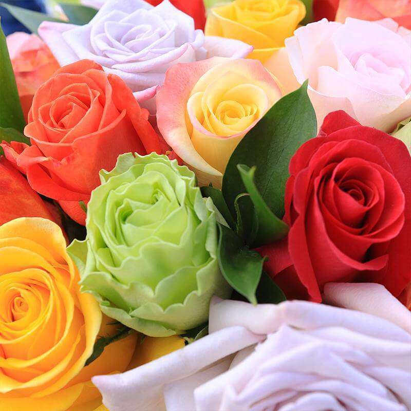 Breathless Rose Bouquet 4 - Rosaholics