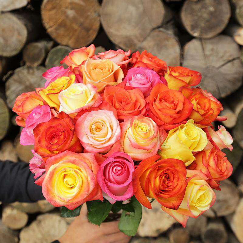 Crush Rose Bouquet Gift - Rosaholics
