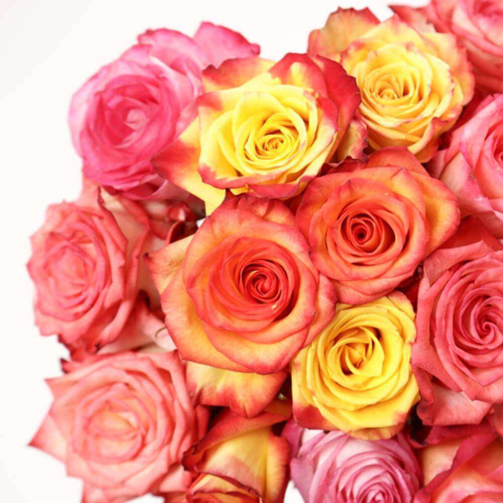 Crush Rose Bouquet 1- Rosaholics