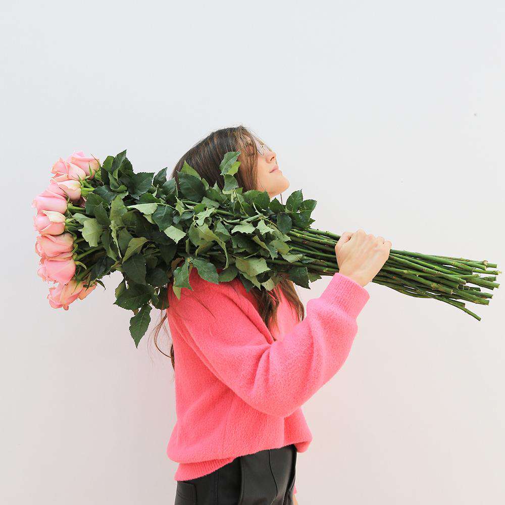 Extra-long roses up to 40 inches 2 - Rosaholics