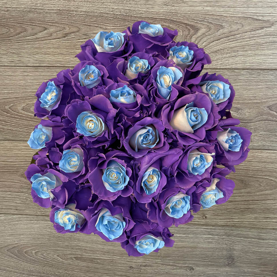 Purple And Blue Roses