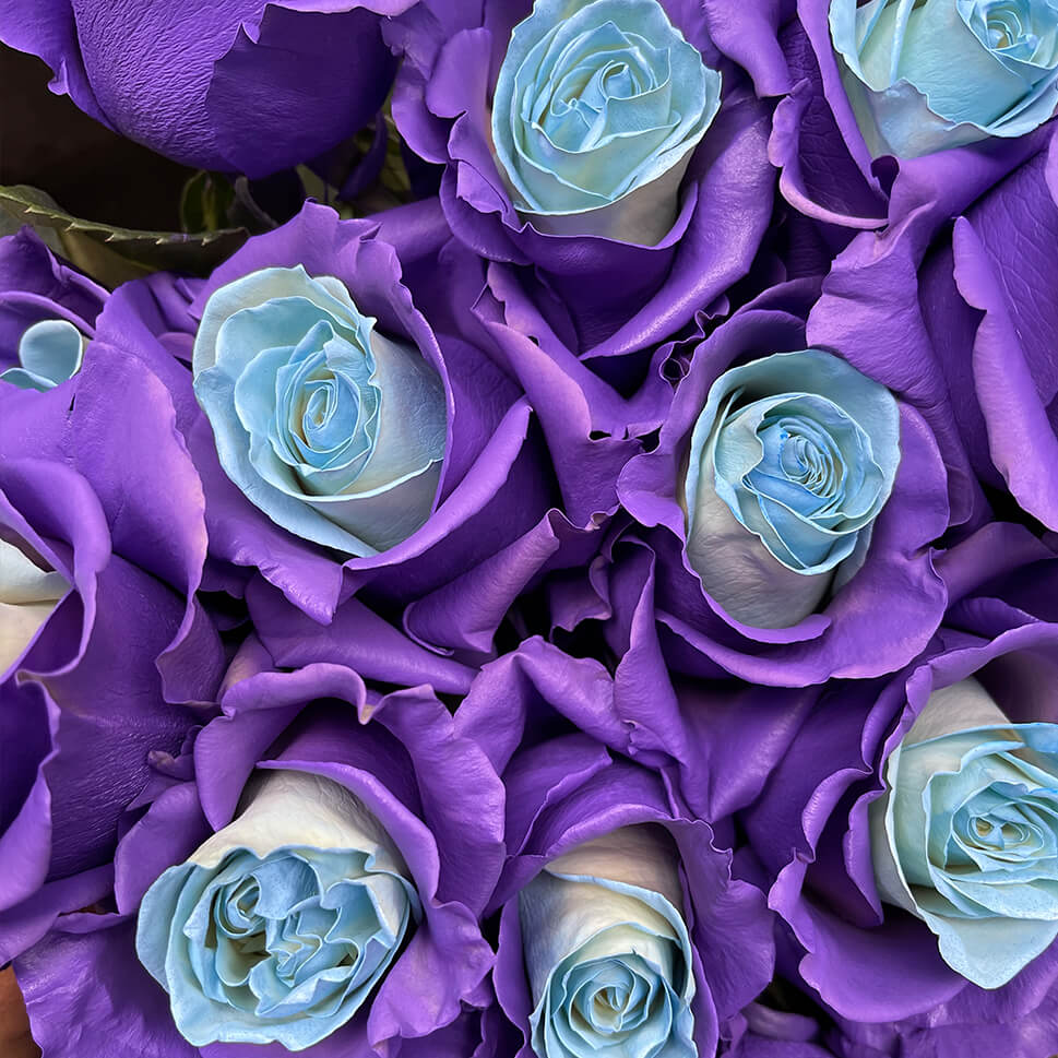 Close-up of Lavender Gelato Rose Bouquet by Rosaholics
