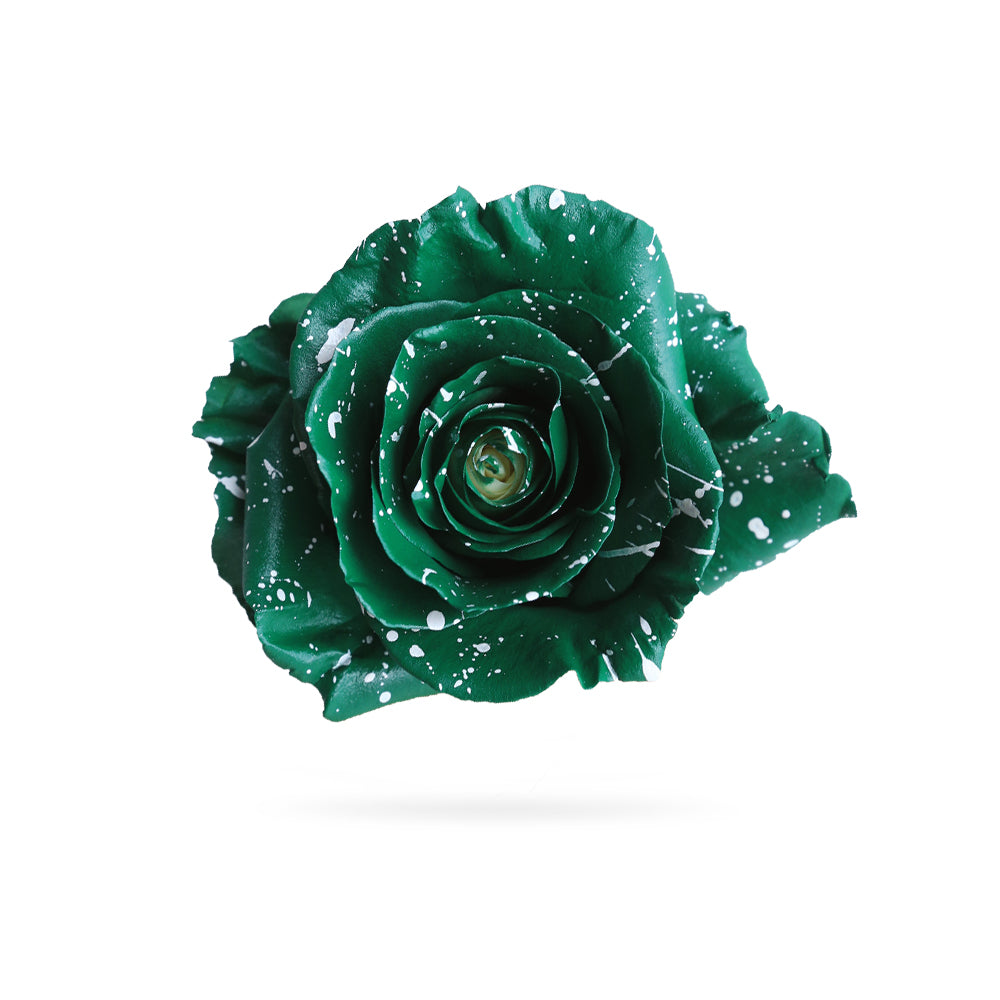 single dark green rose with white dots