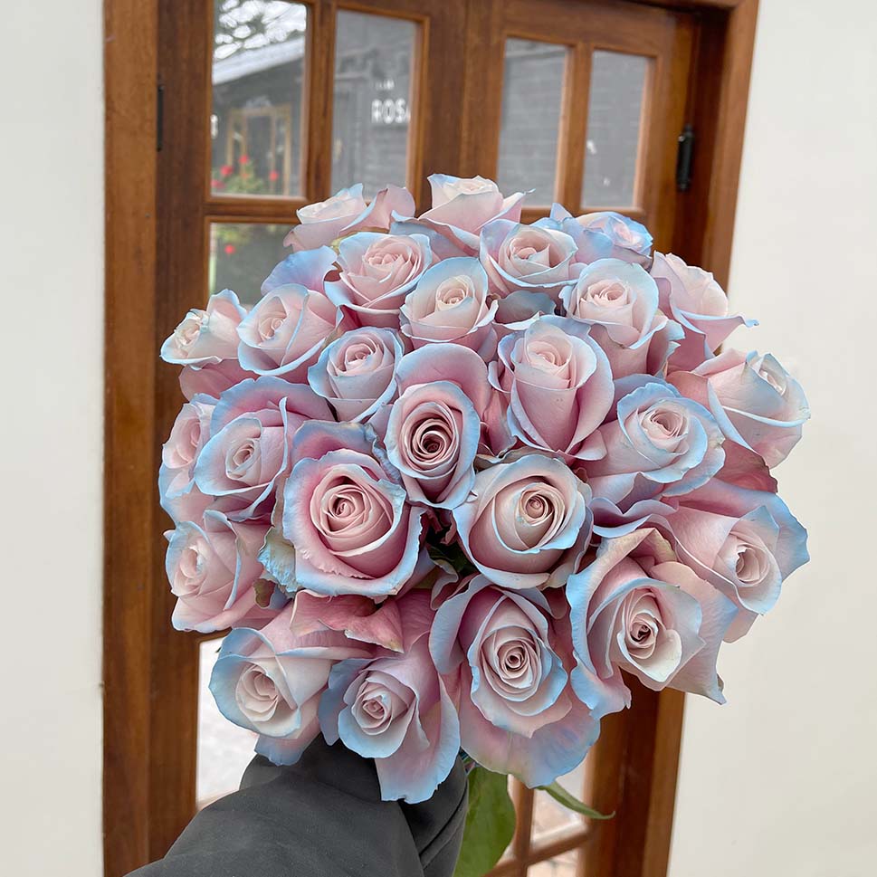 Pink and Blue Roses - Marvel Rose Bouquet in a hand