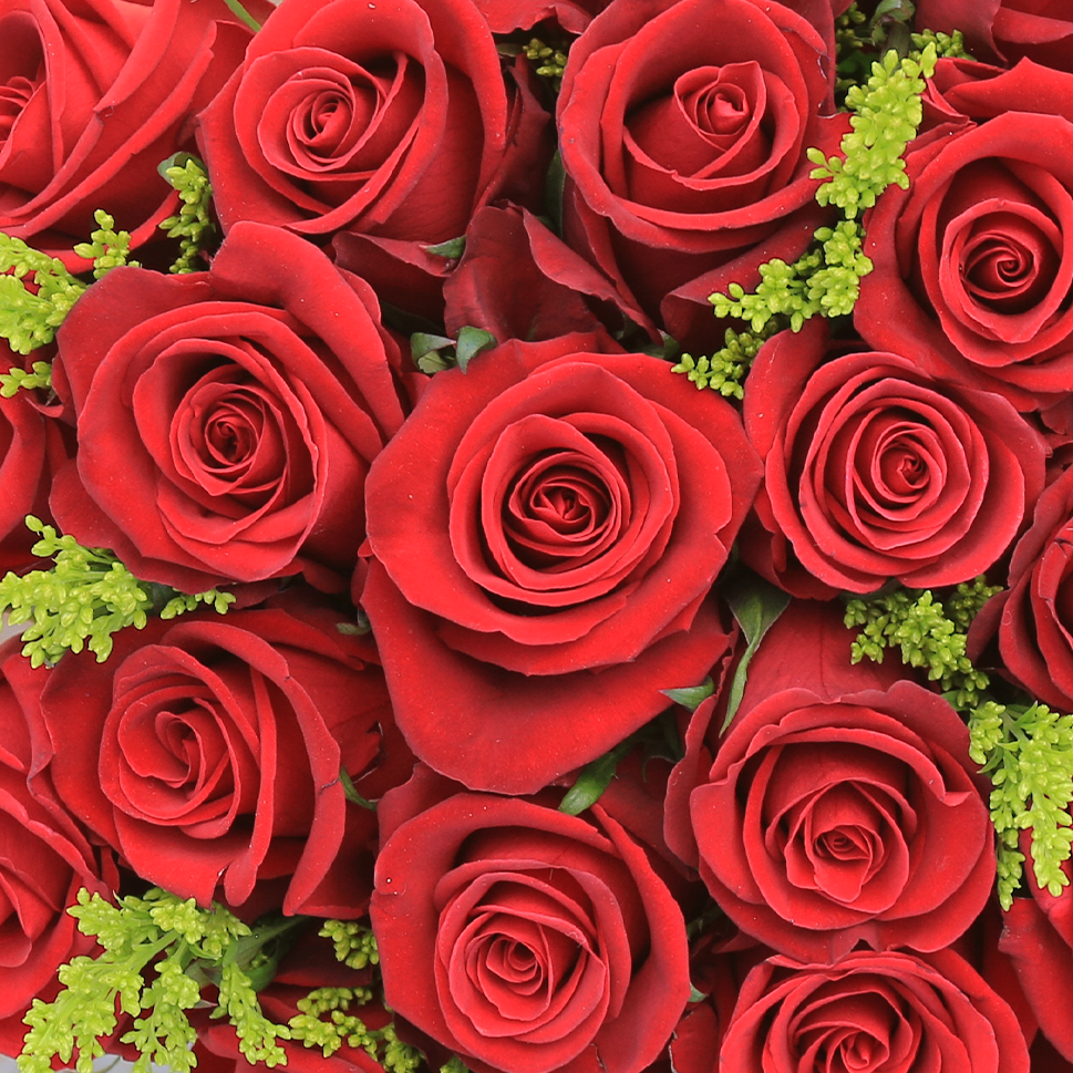 Close-up of Lover Rose Bouquet