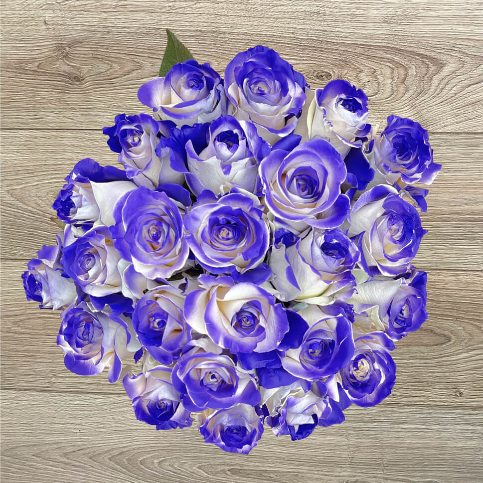 Blue Roses Pack 25 Purple And Blue Roses Bouquet