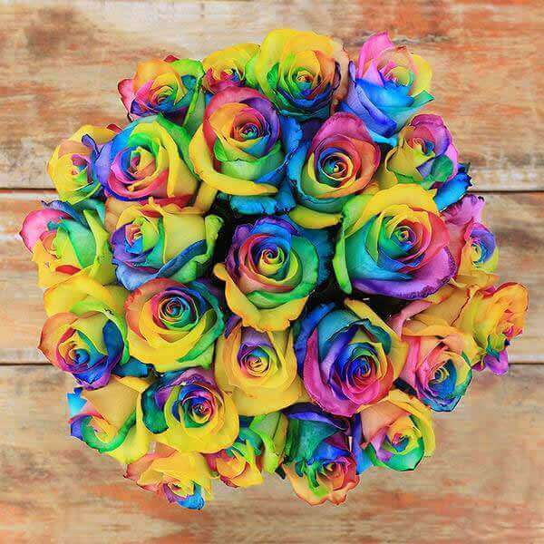 Rainbow Rose Bouquet - Rosaholics