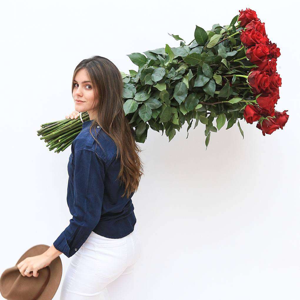 Extra Long Stem Roses Bouquet | Rosaholics