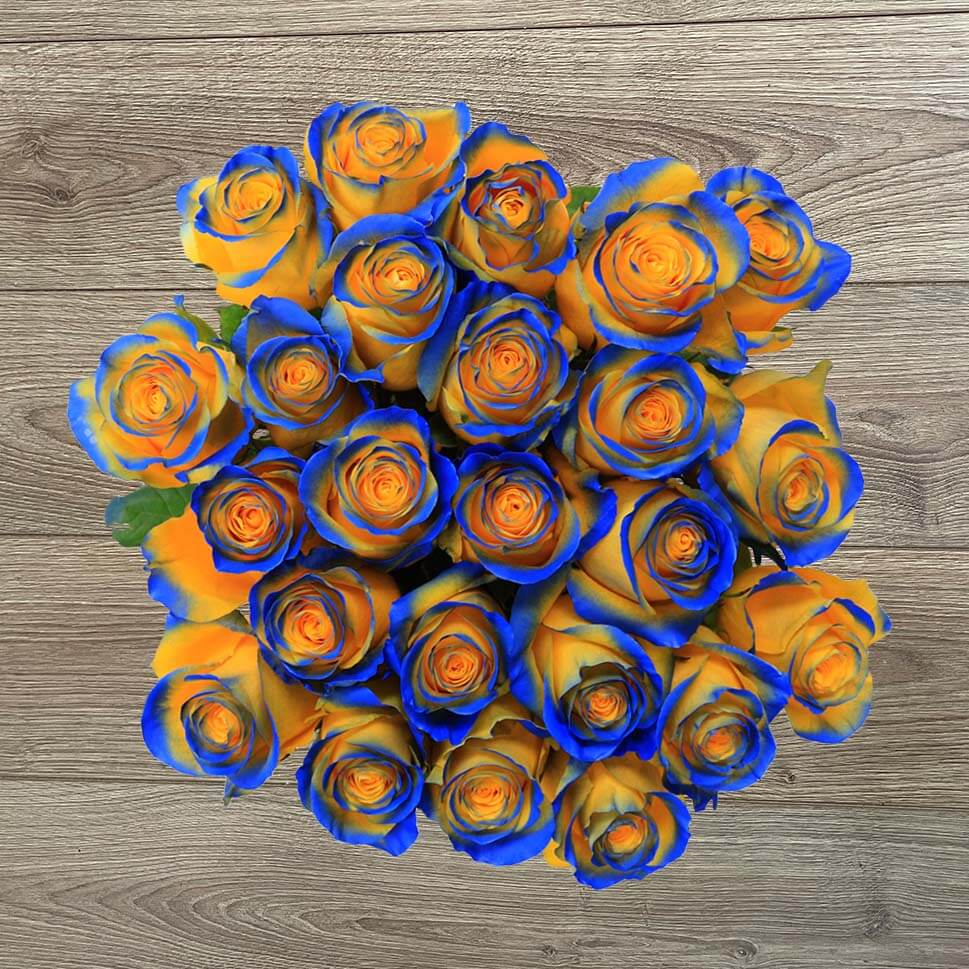 A bouquet of blue and yellow roses (rio roses)