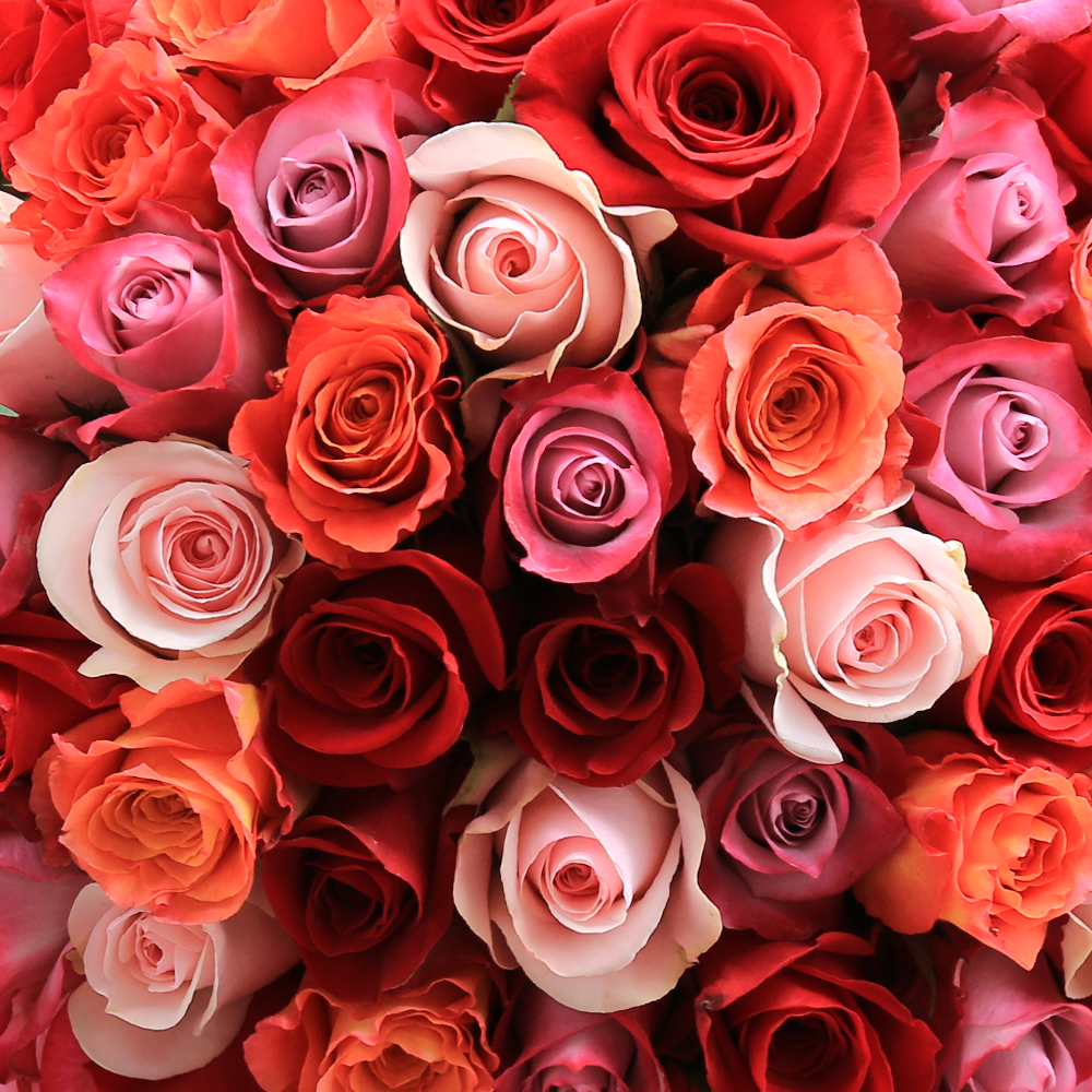 Close-up of Romantic Rose Bouquet by Rosaholics