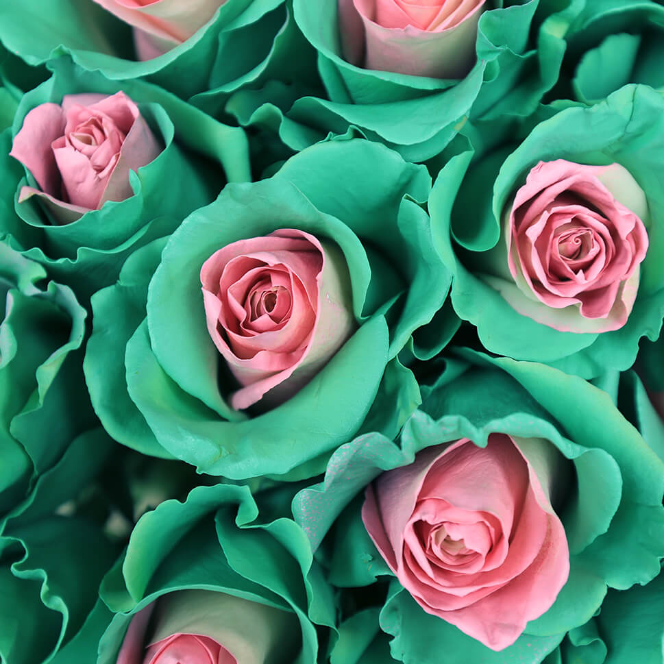 Close-up of Sweet Harmony Rose Bouquet by Rosaholics